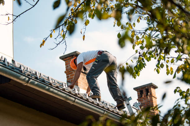 Best Gutter Installation and Roofing  in Moon Lake, FL