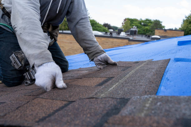 Quick and Trustworthy Emergency Roof Repair Services in Moon Lake, FL