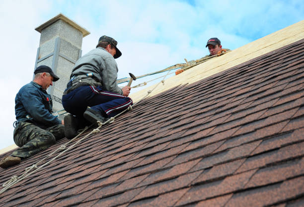 Best Best Roofing Contractors  in Moon Lake, FL
