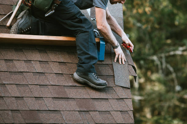Best New Roof Installation  in Moon Lake, FL